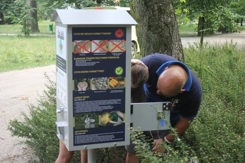 W parku Parku Miejskim im. Wojska Polskiego w Krotoszynie...