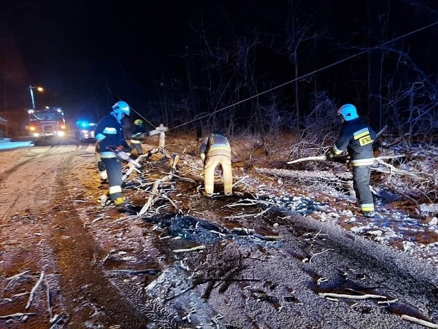 Tuż po godzinie piątej rano 4 lutego 2023 roku, z powalonym na linie komunikacyjne drzewem, walczyli strażacy ze Starokrzepic.
