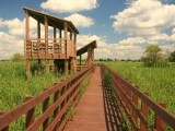 Narwiański Park Narodowy: Turyści nie zawiedli