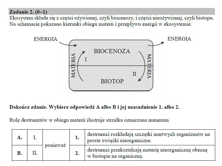 Egzamin gimnazjalny 2019 PRZYRODA. Odpowiedzi i arkusz pytań CKE - część matematyczno-przyrodnicza w serwisie EDUKACJA. Co było? ZADANIA