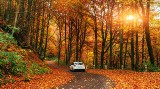 Jesienny przegląd auta. Czy pamiętasz o wszystkim? 