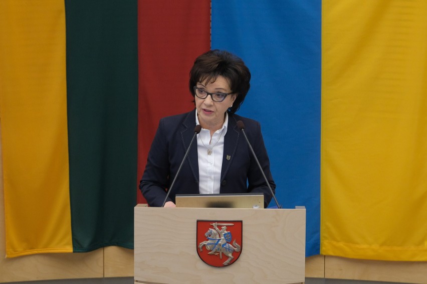 Elżbieta Witek na posiedzeniu Sejmu Republiki Litewskiej w...