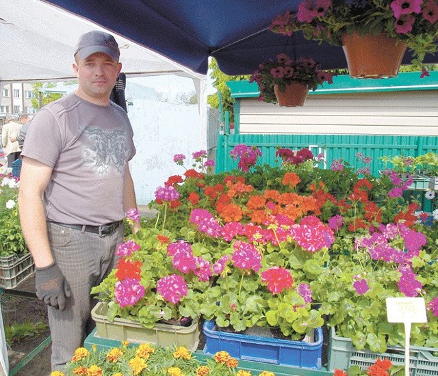 Sławomir Puchalski sprzedaje na targu kwiaty ze swojego ogrodnictwa.