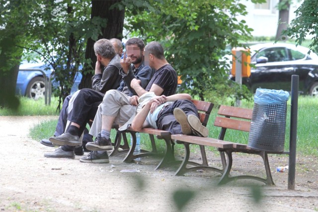 Czy ławki we wrocławskich parkach są niewygodne?