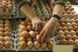 Jajka skażone salmonellą trafiły do sprzedaży. Producent wycofuje je z obrotu. Sprawdź, czy nie masz skażonych jaj w domu