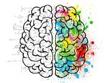 Mózg: jak układać jadłospis i jaką aktywność wybrać, by działał jak najlepiej. Czy mózg kobiety różni się od mózgu mężczyzny?