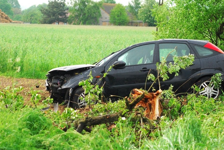 Wypadek w Kamieniu: Ford wypadł z drogi i uderzył w drzewo