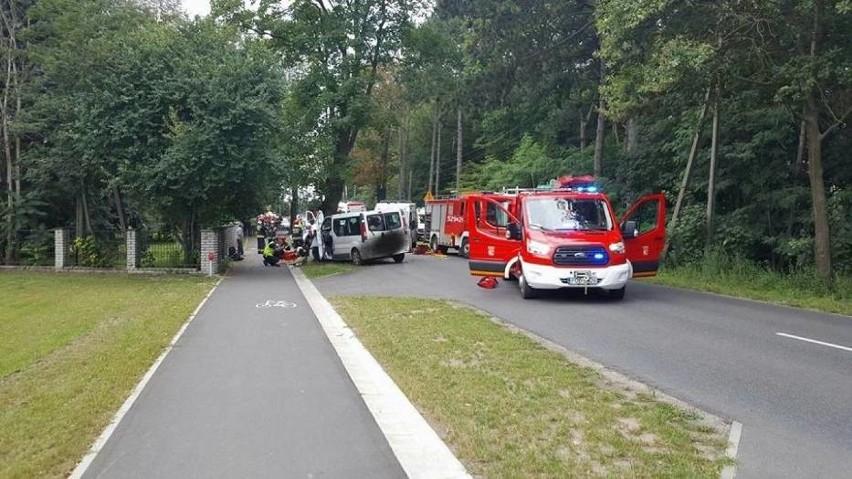 Bus roztrzaskał się na drzewie. 6 osób w szpitalu! [ZDJĘCIA]
