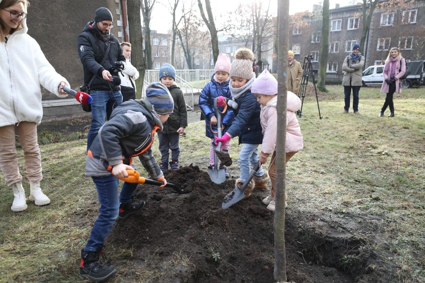 Dzieciaki z Miejskiego Przedszkola nr 48 posadziły drzewa...