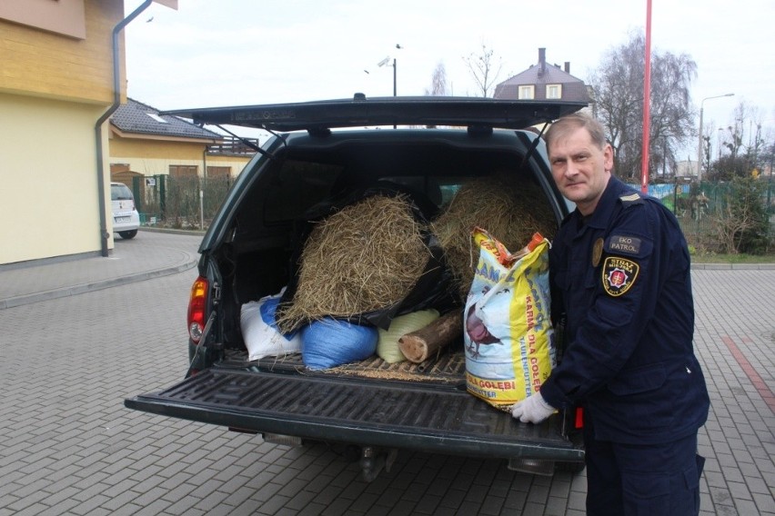 Gdyńska straż miejska opiekuje się zwierzętami w hospicjum