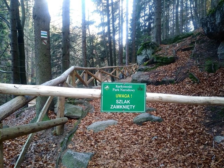Sudety: Wybieracie się w góry? Uwaga, zakaz wejścia do lasu!