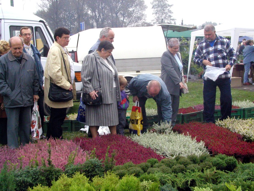 Wystawy kwiatów w Kapeluszu w Parku Śląskim
