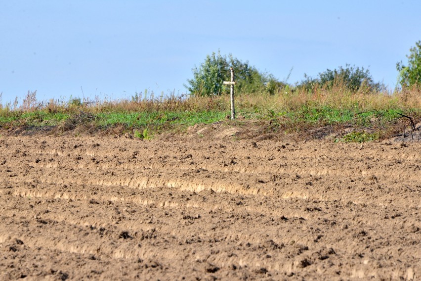 Kości niemieckiego żołnierza znaleziono w polu pod Rakowem! (WIDEO)
