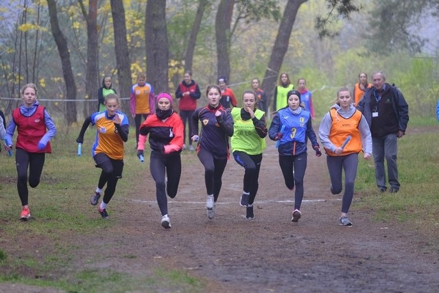 Już w piątek około 1000 szkolnych sportowców wzięło udział w Sztafetowych Biegach Przełajowych z okazji Święta Niepodległości.Zawody wliczane są do klasyfikacji Toruńskiej Ligi Lekkoatletycznej w ramach Toruńskiej Olimpiady Przedszkoli i Szkół 2017/2018.