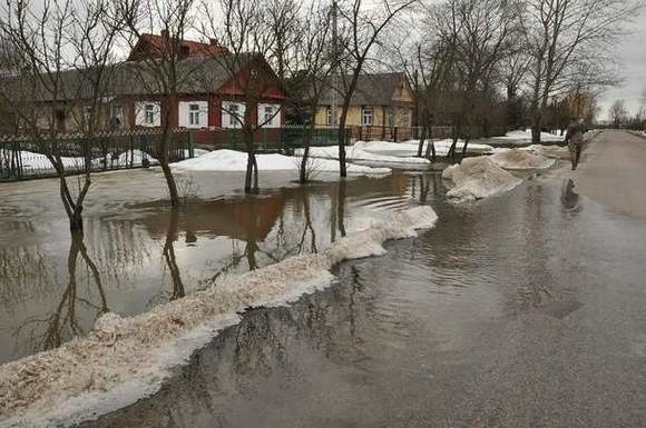 Podtopione zagrody w Pacewie. Tam wiejskie gospodarstwa zalał woda spływająca z pobliskich pól.