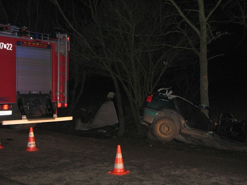 Wypadek na Wilkszyńskiej. Po uderzeniu w drzewo, zginął kierowca samochodu osobowego (ZDJĘCIA)