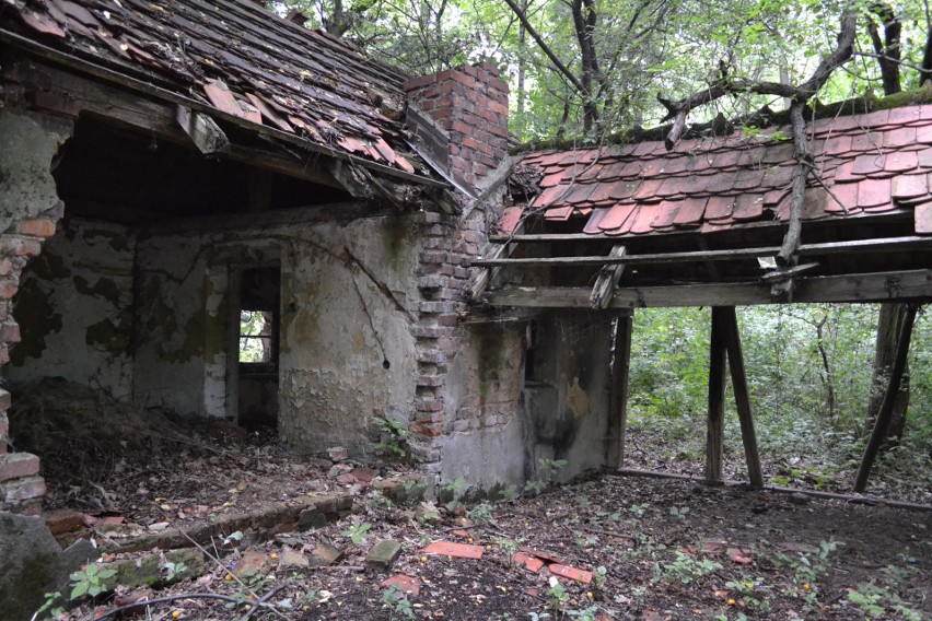 Dzisiaj obiekty pozostałe po byłej bażanciarni powoli...