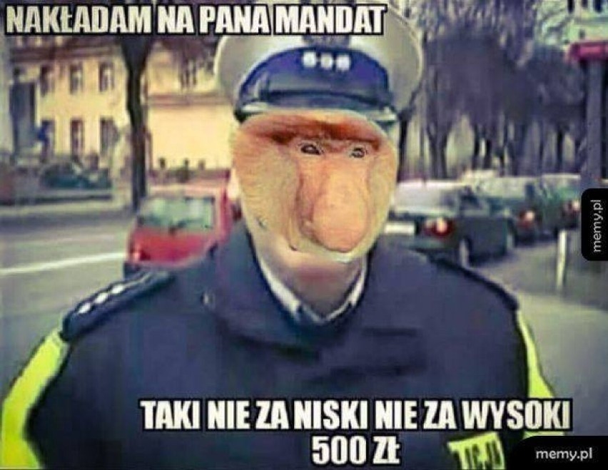 Zobacz kolejne zdjęcia. Przesuwaj zdjęcia w prawo - naciśnij...