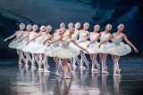 Jezioro Łabędzie w wykonaniu Moscow City Ballet w Koszalinie już dziś