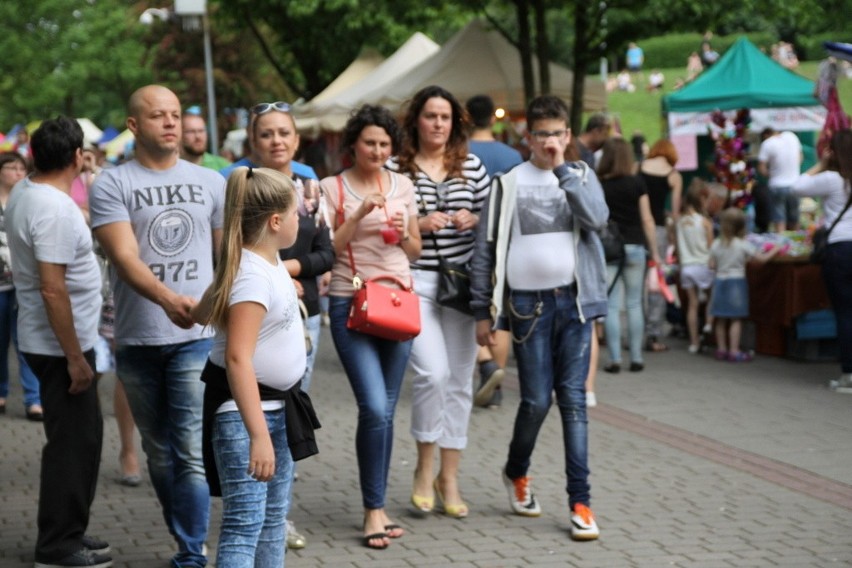 Drugi dzień Dni Dąbrowy Górniczej w Parku Hallera