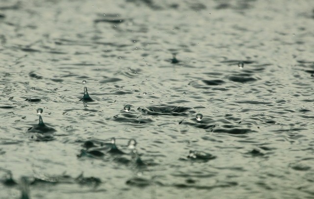 Dziś w całym województwie zapowiadany jest deszcz.