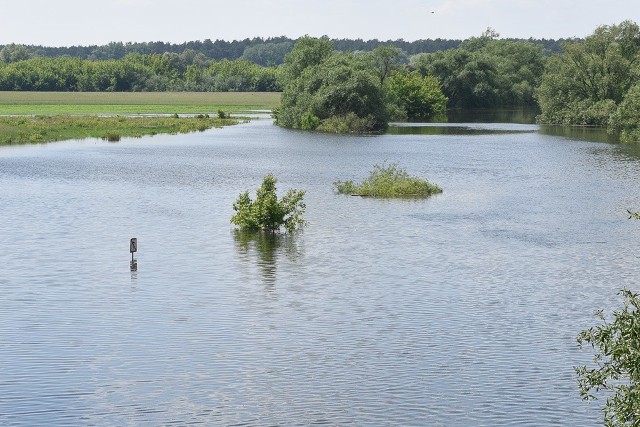 Wisła i Drwęca są wciąż śmiertelnie niebezpieczne. Uważajmy podczas wypoczynku nad rzekami!