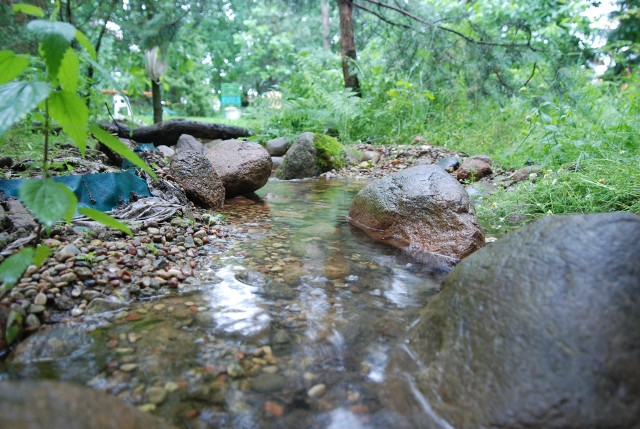 Aranżacja ogrodu z wykorzystaniem kamieni i wodyAranżacja ogrodu z wykorzystaniem kamieni i wody