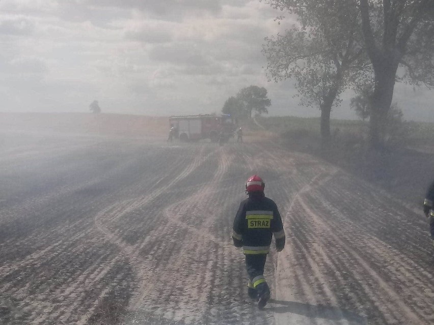 Strażacy i saperzy działali na polu pod Stargardem. Podczas pożaru słomy i drzewa znaleziony został niewybuch