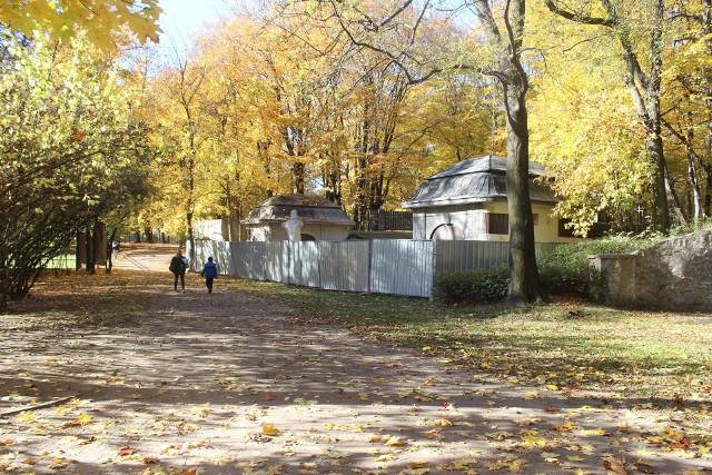 W Parku Kachla w Bytomiu powstają "Widzimisie". To będzie "więcej niż kawiarnia". Zobacz zdjęcia >>>