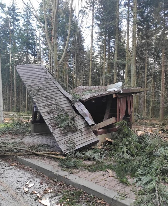 Podczas wycinki drzew pod budowę ścieżki rowerowej Kielce - Zagnańsk zniszczono przystanek. Będzie odbudowany [ZDJĘCIA]