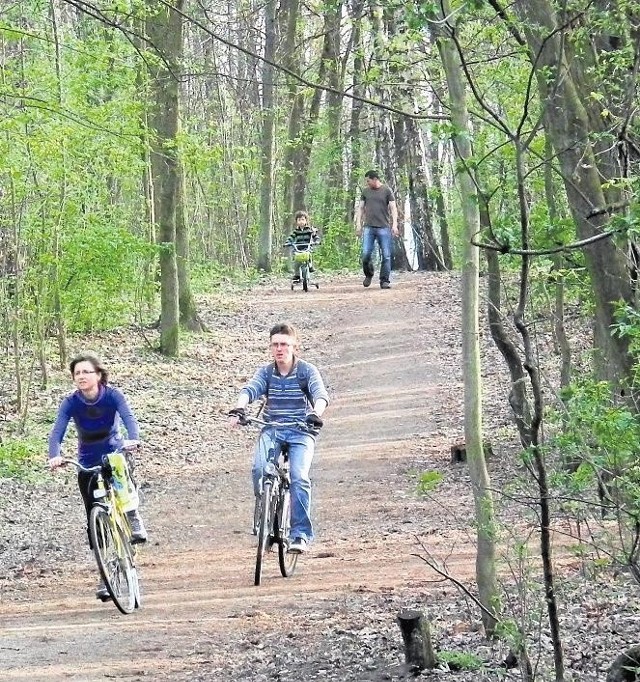 Las piątkowski jest jedynym klinem zieleni w tej części miasta. Chętnie korzystają z niego mieszkańcy Piątkowa i Naramowic