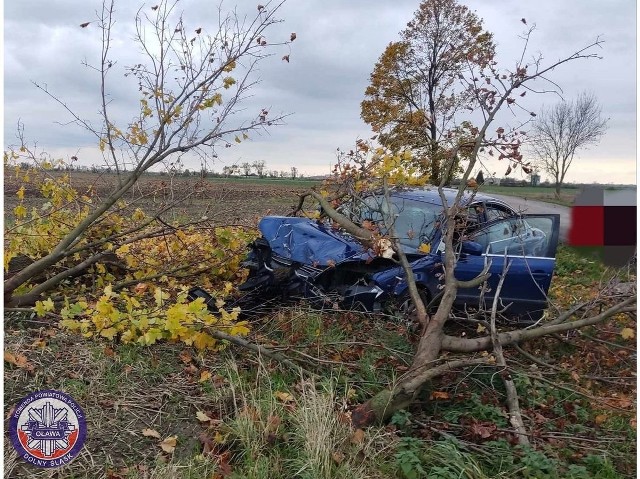 Mężczyzna uderzył w przydrożne drzewo, po czym zostawił samochód i ruszył w kierunku domu. Za skrajnie nieodpowiedzialne zachowanie grozi mu kara nawet do 2 lat więzienia.