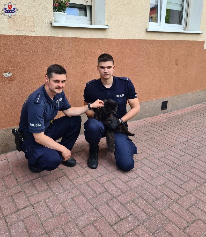 W mieszkaniu pojawił się ogień. Kraśniccy policjanci uratowali kota z zadymionego lokalu