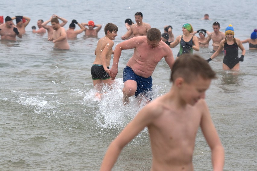 Morsy z Tarnobrzega zaczynają sezon kąpielowy