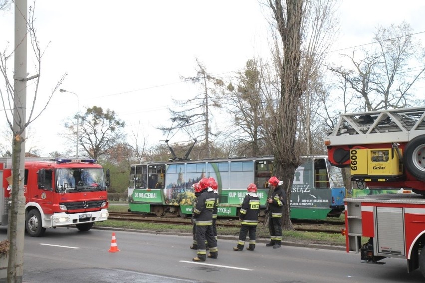 Utrudnienia na Ślężnej. Strażacy ścieli drzewo pochylone nad trakcją (ZDJĘCIA)