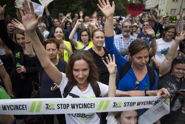 Protesty ekologów dotyczące wycinki Puszczy Białowieskiej organizowane są w całej Polsce