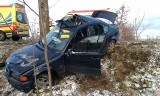 BMW uderzyło w drzewo przy drodze między Mianowicami a Zagórzycą (zdjęcia)