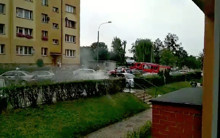 Dwa samochody spłonęły na osiedlu w Rybniku - gaśnice nie pomogły ZDJĘCIA