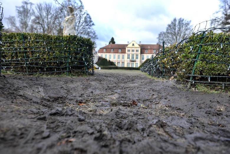 Apelują do władz Gdańska o zaprzestanie niszczenia Parku Oliwskiego [PETYCJA]