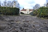 Apelują do władz Gdańska o zaprzestanie niszczenia Parku Oliwskiego [PETYCJA]