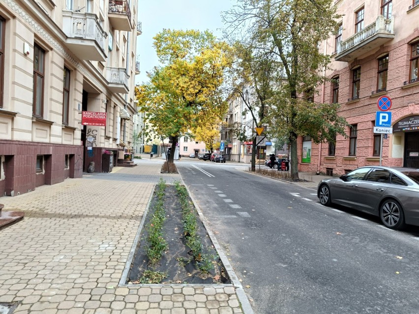 Lublin zazieleni się jesienią. Gdzie pojawią się nowe nasadzenia?