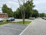 Nowy parking przy Parku Oruńskim. W tym miejscu brakowało miejsc postojowych