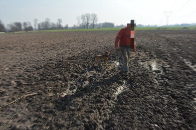 Rolnik spod Głowna znalazł na swoim polu rozkawałkowane zwłoki psa. Obok leżała siekiera, nóż i pilnik. Sprawą zajęła sie policja i prokuratura.