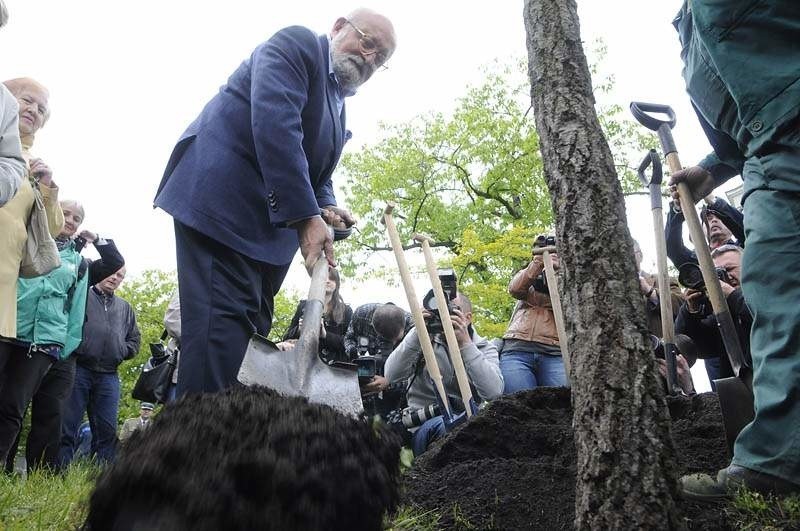 Profesor Krzysztof Penderecki posadził dąb w Bydgoszczy [zdjęcia, wideo]