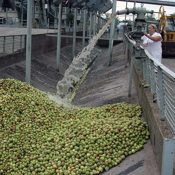 Produkcja jasielskiego Pektowinu opierała się głównie na jabłkach. W ostatnich latach ich nie brakowało. Po ostatniej klęsce w sadach, zakład musi nastawić się bardziej na inne owoce.