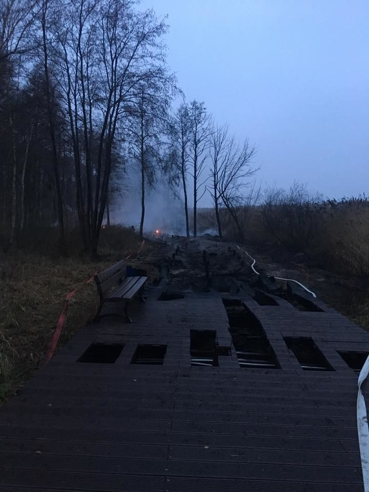 Pożar w Trzebieży. Spłonęły pomosty, które były atrakcją miejscowości [ZDJĘCIA]