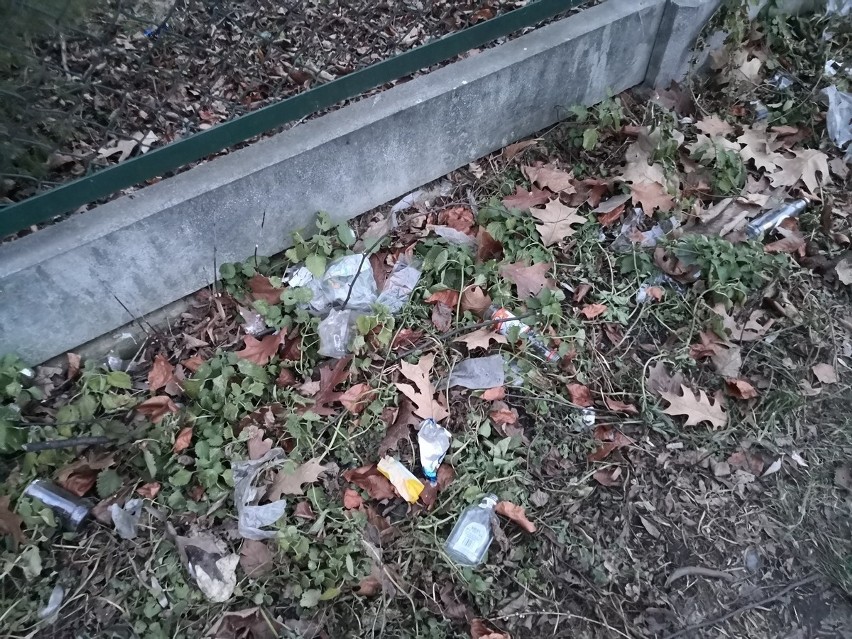 Mieszkańcy Rzeszowa  skarżą się na śmieci przy Wisłoku. Miasto: będzie czysto