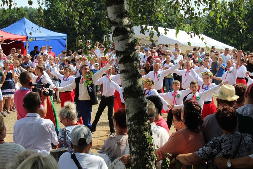 Dobrzyńskie wesele w gminie Rogowo przyciągnęło tłumy [zobacz zdjęcia]