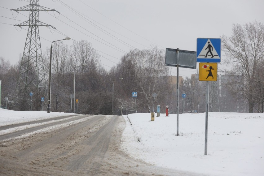 Meteorologiczna wiosna już się rozpoczęła. W najbliższych...