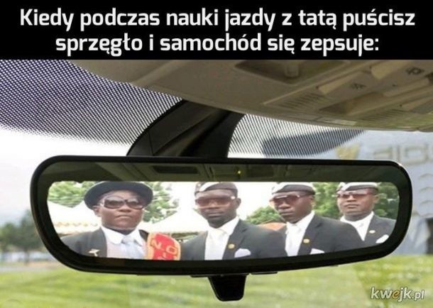 Prawo jazdy w krzywym zwierciadle. Zobacz najlepsze MEMY!